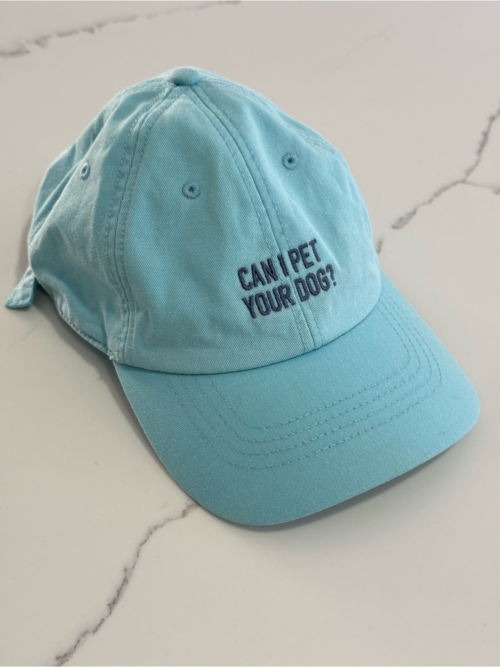 Can I Pet Your Dog? Light Blue Baseball Cap